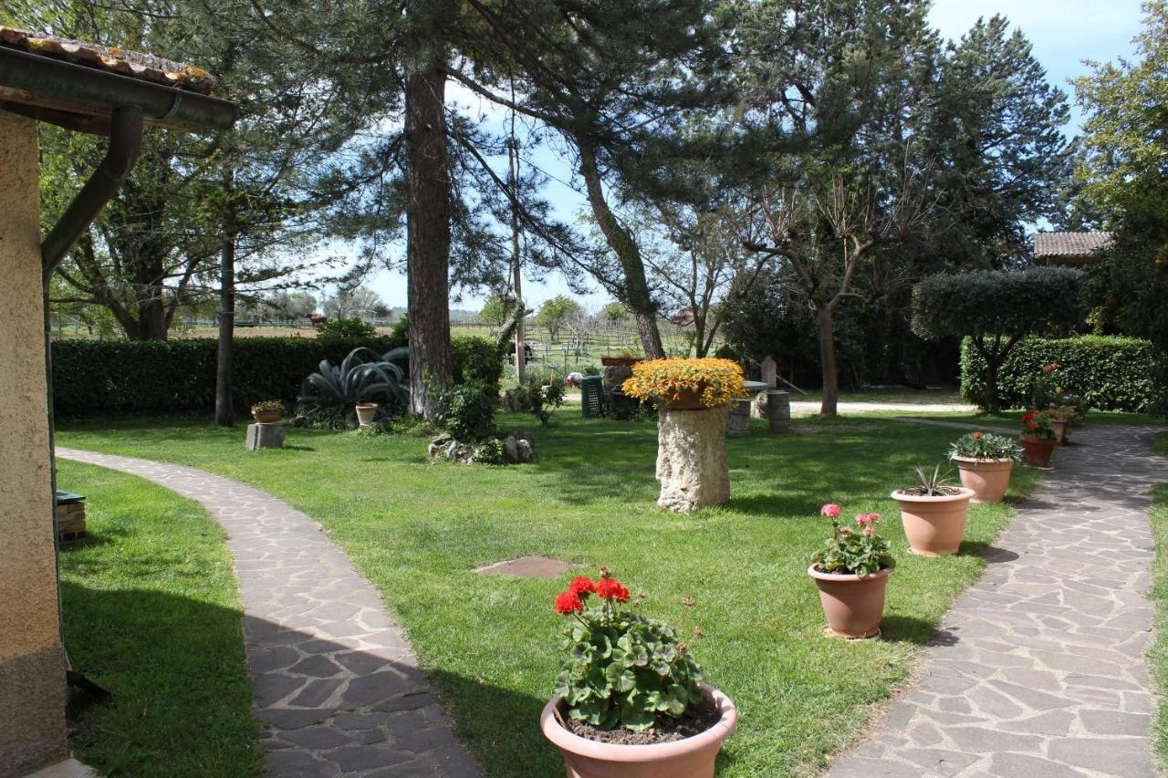 Agriturismo Il Capannone Montemerano Zewnętrze zdjęcie
