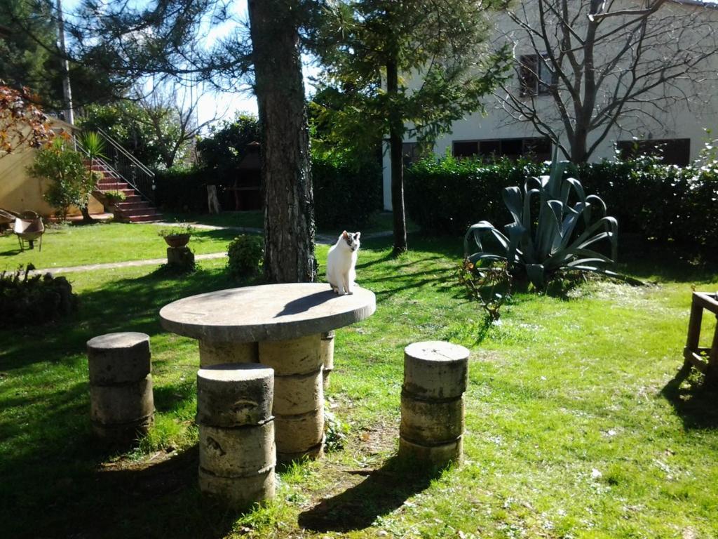 Agriturismo Il Capannone Montemerano Zewnętrze zdjęcie